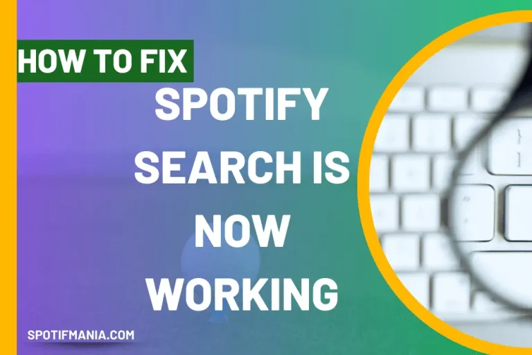 9 Proven ways to Get Back Spotify Search Bar if  Spotify Search Not Working