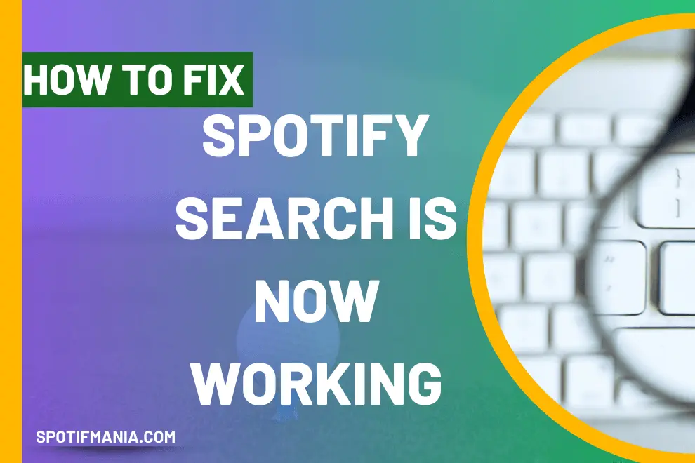 Spotify Search Not Working (easy Fix With 9 Different Ways)!